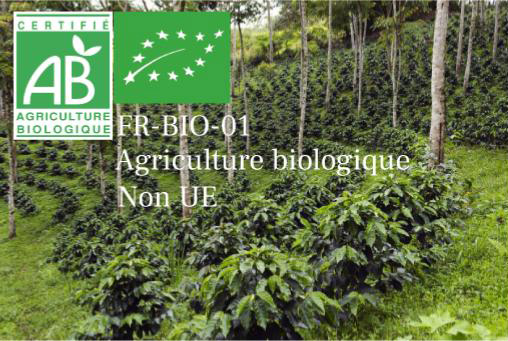 Où trouver des cafés bios labellisés ?